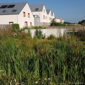Ecoquartier Guérande