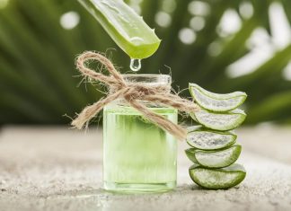 Les Bienfaits de l’Aloe Vera Les Bienfaits de l'Aloe Vera La Baule, Guérande, Pornichet…